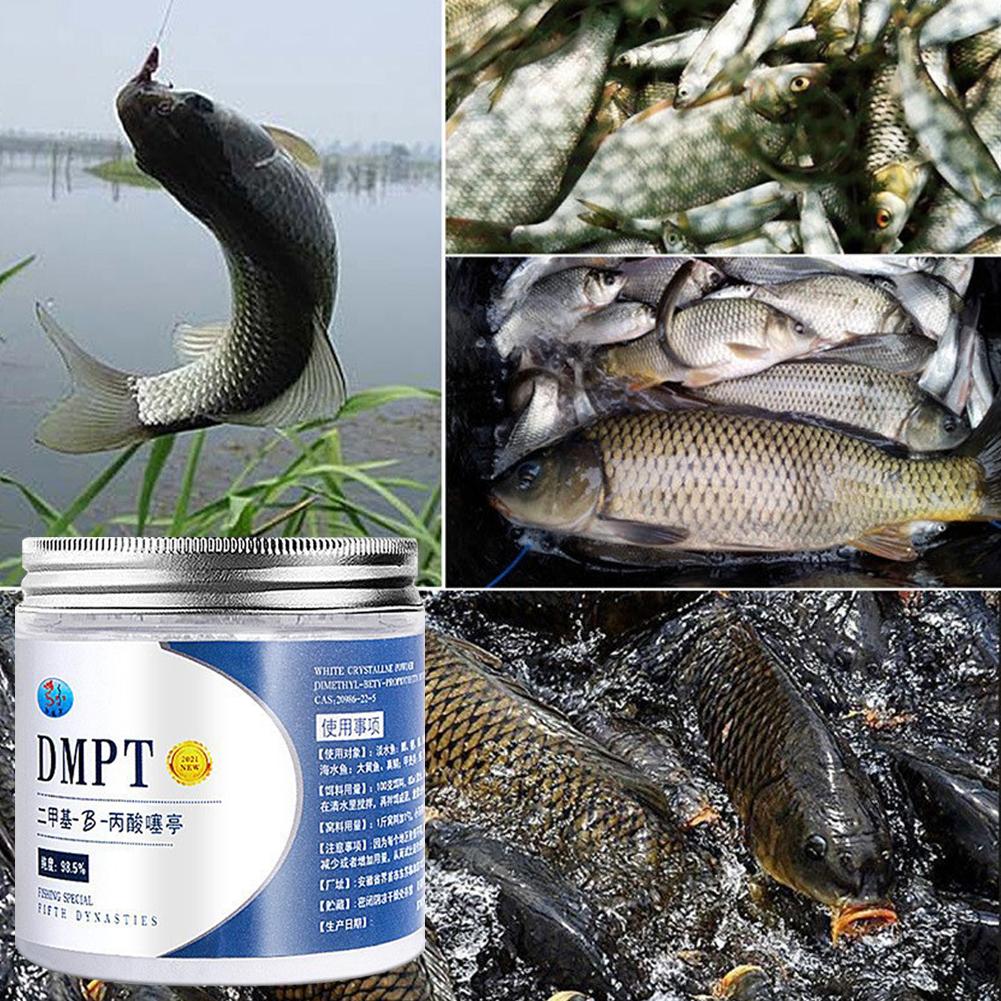 50g Real DMPT High Purity Fish - огляд і ціна Fishing Equipment Market